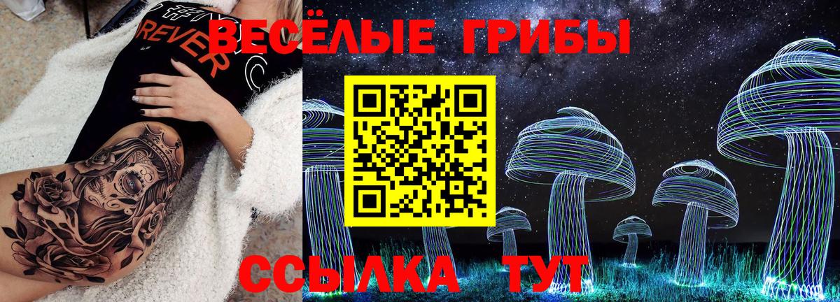 Карпинск  Псилоцибиновые грибы прущие грибы  Галлюциногенные грибы мицелий  Вход с VPN 