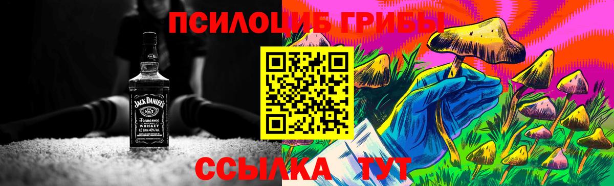 Псилоцибиновые грибы мухоморы Карпинск